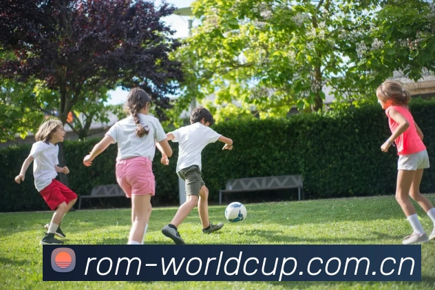2026世界杯 APP界面展示